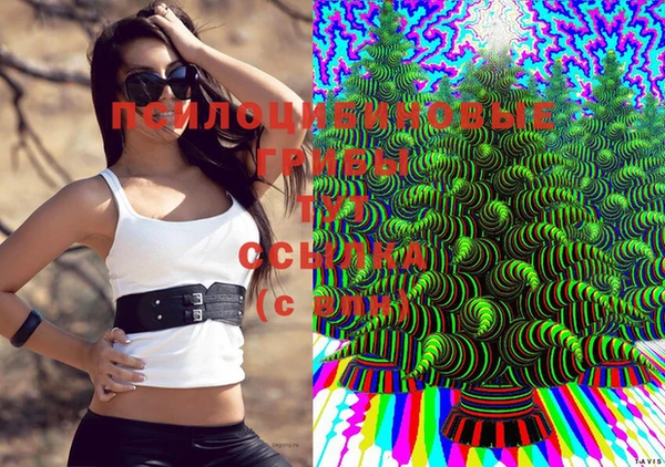 каннабис Алексеевка