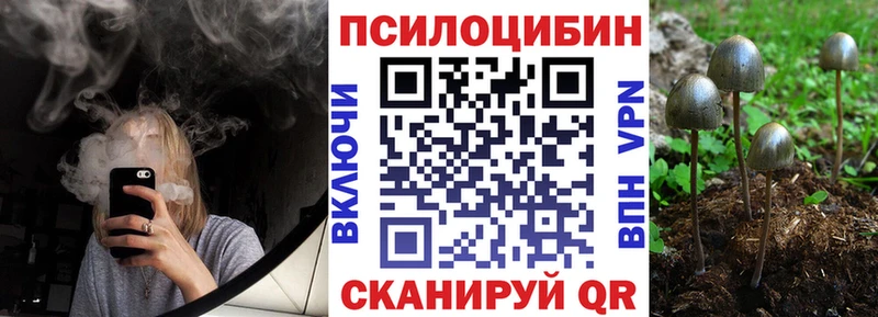 Галлюциногенные грибы Cubensis  мега вход  Лихославль 